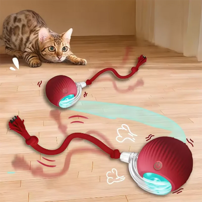 Intelligent interactive cat ball