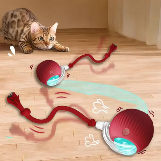 Intelligent interactive cat ball