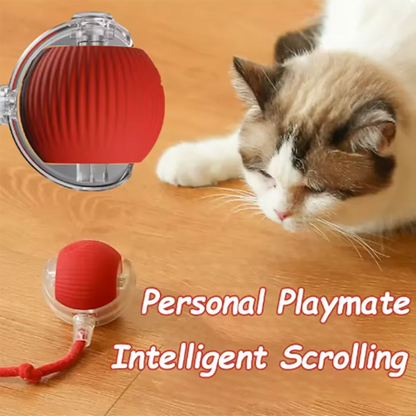 Intelligent interactive cat ball