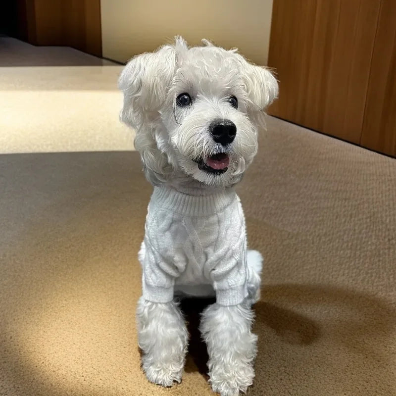 Autumn and Winter New Pet Four-foot Knitted Warm Sweater Dog Medium and Small Dog Corgi Clothes