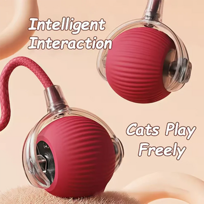 Intelligent interactive cat ball